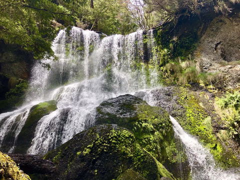 Lemonthyme Wilderness Retreat - Dentist Find 14