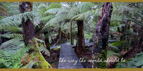 Lemonthyme Wilderness Retreat - Dentist Find 17