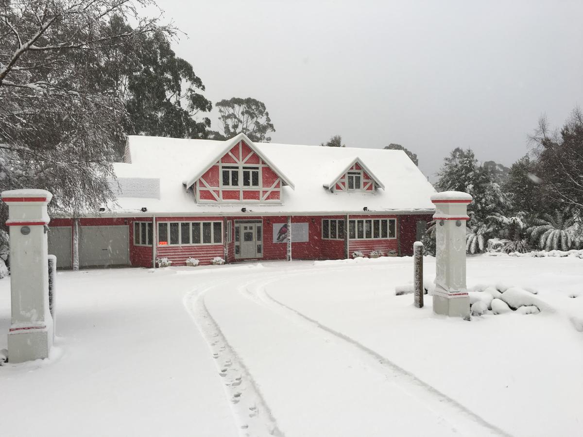 Cradle forest inn