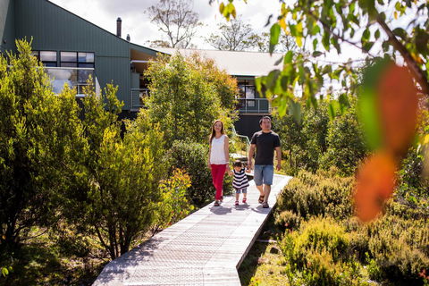 Cradle Mountain Hotel - Dentist Search 23