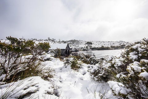 Cradle Mountain Hotel - Dentist Search 38