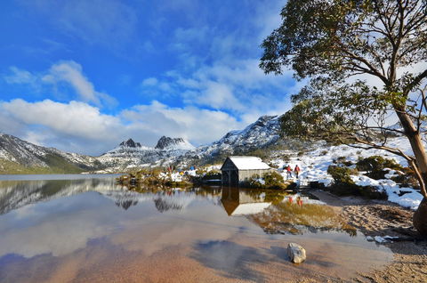 Cradle Mountain Hotel - Dentist Search 3