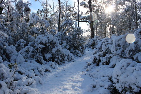 Cradle Mountain Hotel - Dentist Search 4