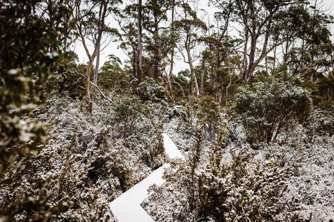 Cradle Mountain Hotel - Dentist Search 6