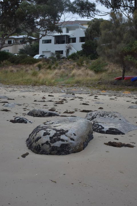Beachside Taroona - Dentists Australia 21