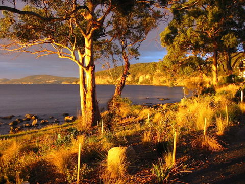 Beachside Taroona - Dentists Australia 19