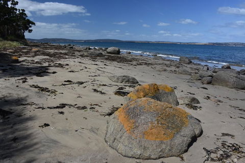 Beachside Taroona - Dentists Australia 30