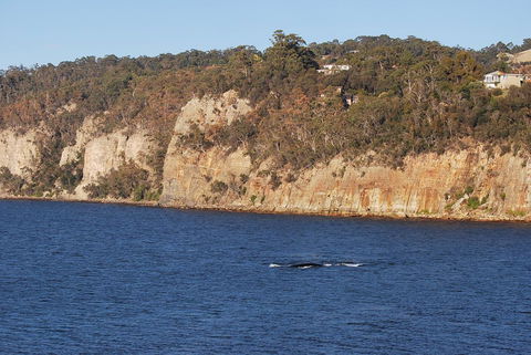 Beachside Taroona - Dentists Australia 29