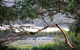 Kingfisher Cottage - thumb 17