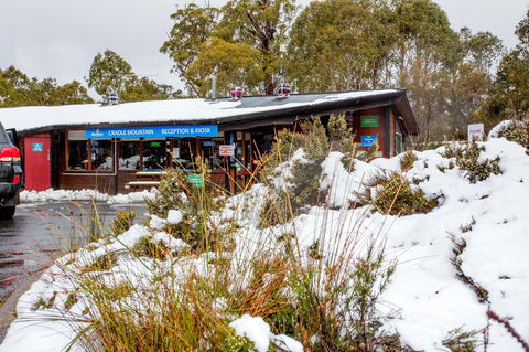 Discovery Parks â€“ Cradle Mountain - Dentists Australia 29