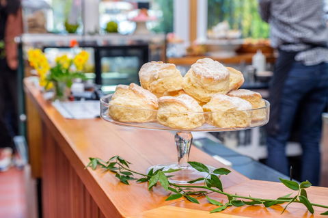 Cygnet Old Bank - Dentist Find 17