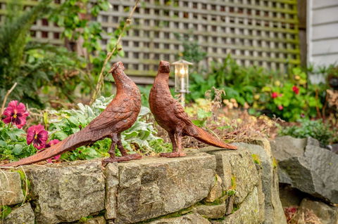 Cygnet Old Bank - Dentist Find 27