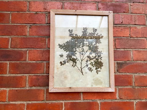 Cygnet Old Bank - Dentist Find 44