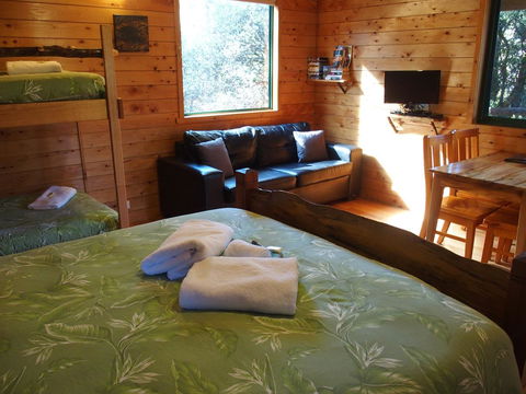 Cradle Mountain Highlanders - Dentist Search 34