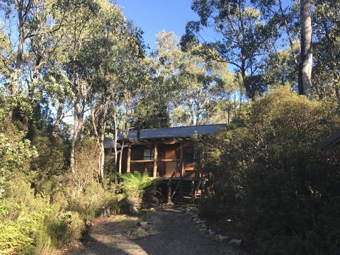 Cradle Mountain Highlanders - Dentist Search 14