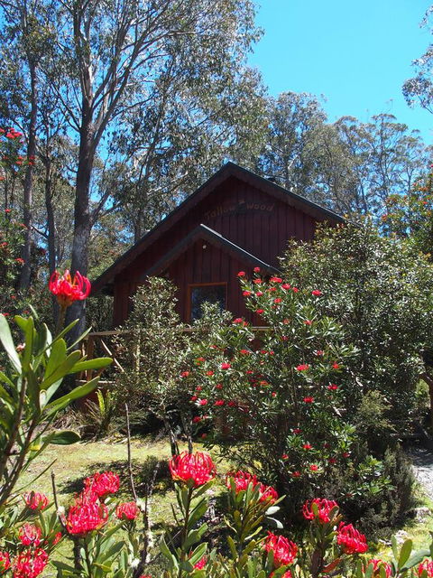 Cradle Mountain Highlanders - Dentist Search 0