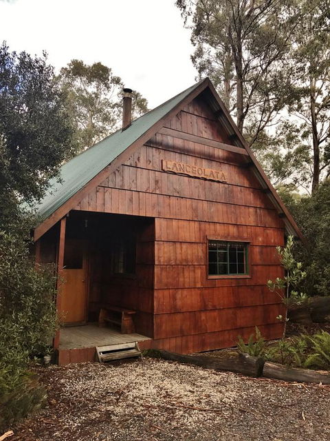 Cradle Mountain Highlanders - Dentist Search 3