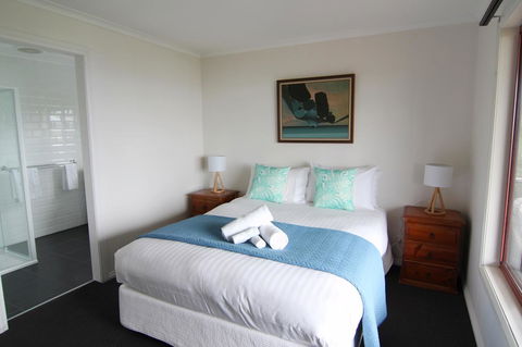 DOLPHIN LOOKOUT COTTAGE - Amazing Views Of The Bay Of Fires - Dentist Find 10