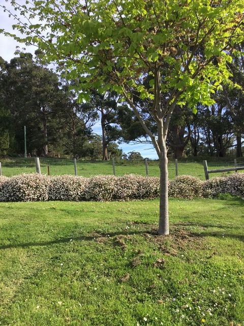 Nextdoor@portarthur - Dentist Find 17