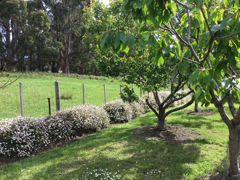 Nextdoor@portarthur - Dentist Find 18