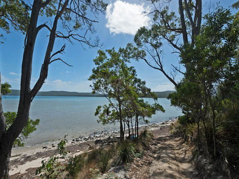 Cloudy Bay Lagoon Estate - Dentist Find 18