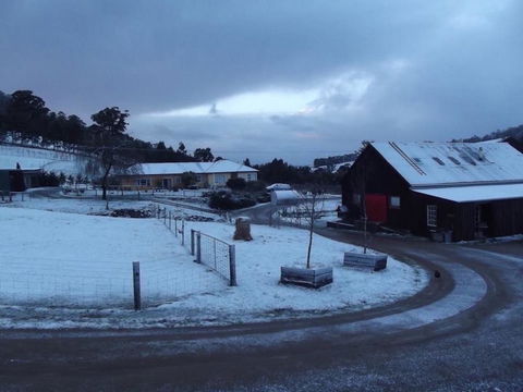 Eden Orchard & Farmstay - Dentist Find 23