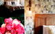Eden Orchard & Farmstay - thumb 0