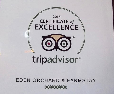 Eden Orchard & Farmstay - Dentist Find 28