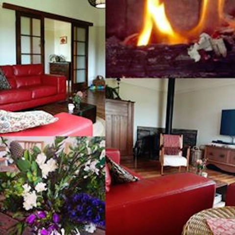 Eden Orchard & Farmstay - Dentist Find 11