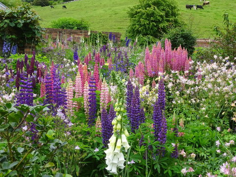 Old WesleyDale Heritage Accommodation - Dentist Find 1
