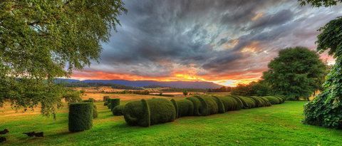 Old WesleyDale Heritage Accommodation - Dentist Find 13