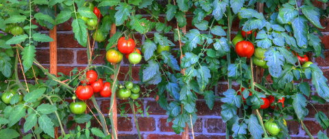 Old WesleyDale Heritage Accommodation - Dentist Find 8