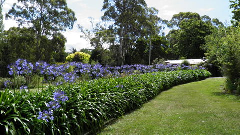 Tamar River Retreat - Dentists Australia 11
