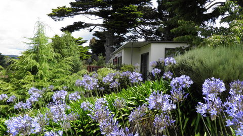 Tamar River Retreat - Dentists Australia 28