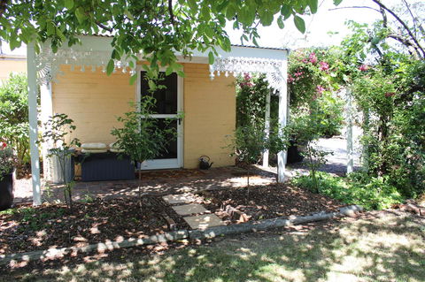 Bellamona - Dentist Find 24