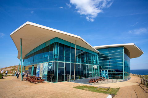 BIG4 Phillip Island Caravan Park - Dentist Find 12