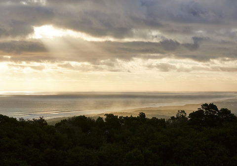 RACV Cape Schanck Resort - Dentist Find 6