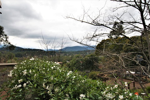 Hamptons In Healesville - Dentist Find 13