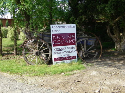 De'Vine Escape - Dentist Find 28