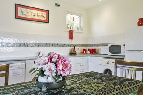 Black Dolphin Beach Penthouse - Dentist Find 17