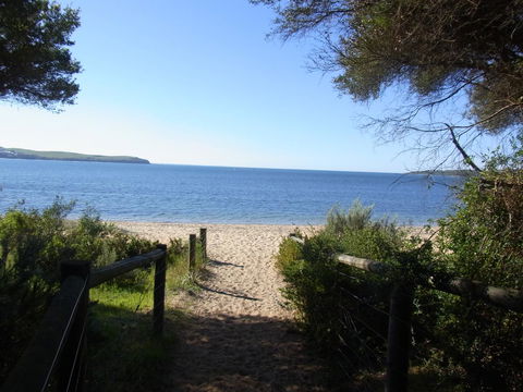 Black Dolphin Beach Penthouse - Dentist Find 3