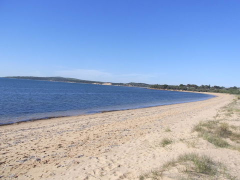 Black Dolphin Beach Penthouse - Dentist Find 10