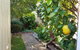Healesville House - Fig Tree House - thumb 17