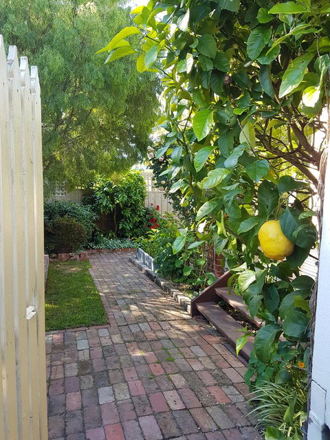 Healesville House - Fig Tree House - Dentist Find 17