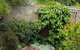 Healesville House - Fig Tree House - thumb 21