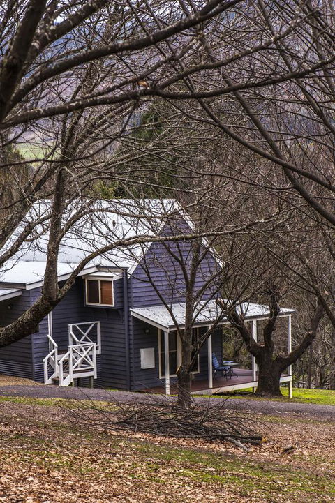 Abbys Cottages Bright - Dentist Find 32