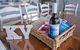 Stunning Waterfront Only 10 Minutes To Phillip Island - Pet Friendly - thumb 3