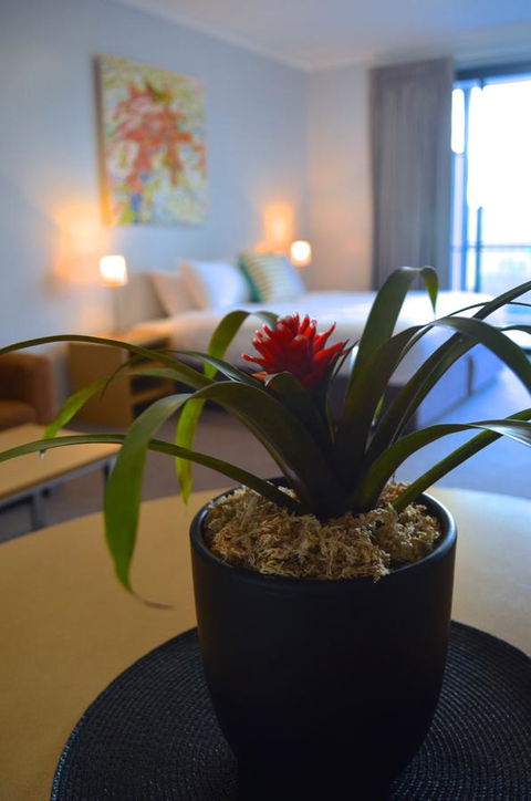 Mansfield Apartments - Dentists Australia 21