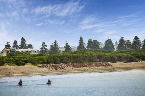 Quest Warrnambool - Dentist Find 26