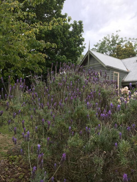Oak Tree Lodge - Dentist Find 25